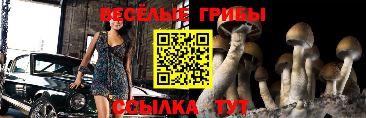 Галлюциногенные грибы Psilocybe Спасск-Дальний
