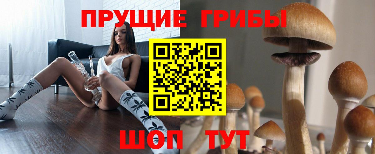 Спасск-Дальний  Галлюциногенные грибы мицелий  Вход с VPN 